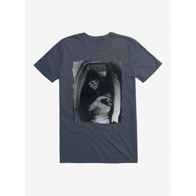 Universal Monsters Collection: The Mummy in Sarcophagus Tee - Men's Lightweight Cotton
