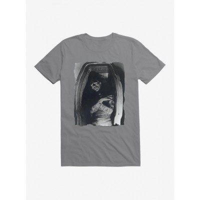 Universal Monsters Collection: The Mummy in Sarcophagus Tee - Men's Lightweight Cotton
