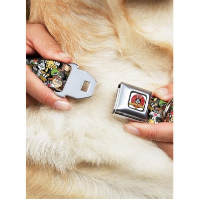 Looney Tunes Character Stacked Collage Seatbelt Dog Collar - USA Made