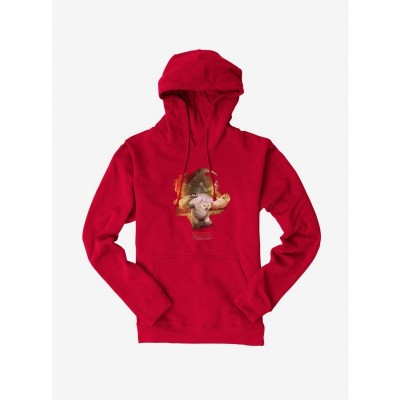 Dungeons & Dragons Honor Among Thieves Owlbear Hoodie - Unisex Heavyweight Fleece